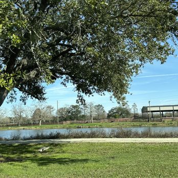 City Park - Parks Near Me - New Orleans, Louisiana City Park - Parks Near Me - New Orleans, Louisiana