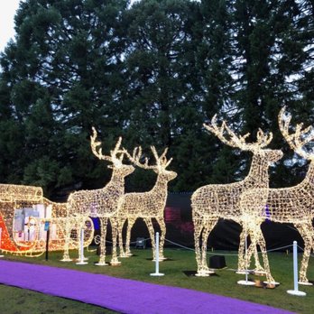 Aurora Winter Festival - Festivals Near Me - Vancouver, British Columbia Aurora Winter Festival - Festivals Near Me - Vancouver, British Columbia