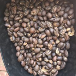 Ed's Specialty Coffee - Coffee beans in scoop