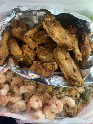 Atlanta Wings by null
