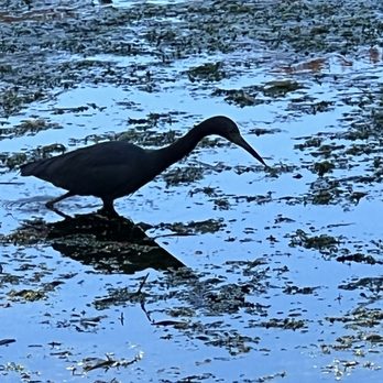 Lake Davis Park - Lakes Near Me - Orlando, Florida