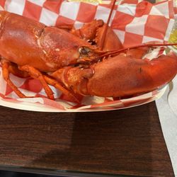 Carrier's Mainely Lobster - Lobster.