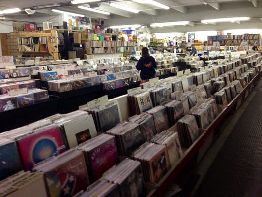 Jerry's Records by null