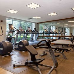 Health club fitness center gym