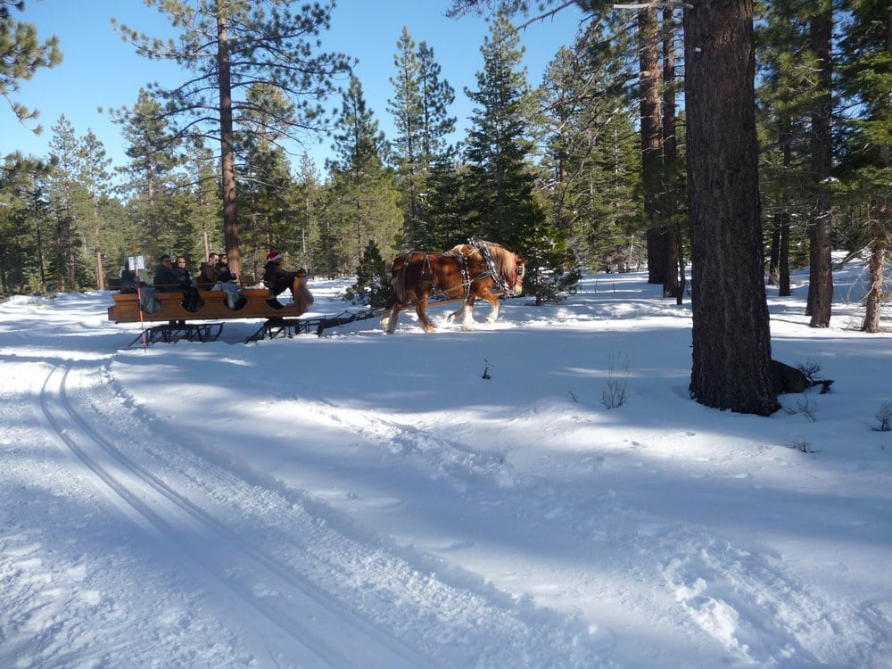 SAINT FRANCIS OF THE WOODS CONDOMINIUMS 516 Emerald Bay Rd, South