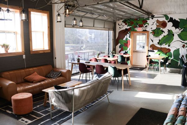 Snowy Owl Cafe & Roastery by null