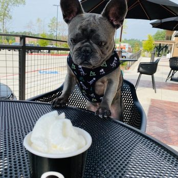 Luv Coffee - Cafes Near Me - Montgomery, Texas Luv Coffee - Cafes Near Me - Montgomery, Texas
