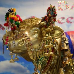 Barfi Indian Sweetshop and Bakery - Lucky Golden Cow
