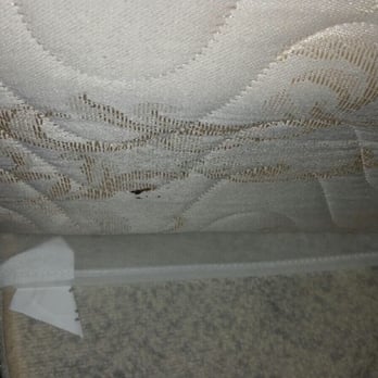 Bay Bridge Motel - Ticks and eggs - Hotels Near Me - North Bend, Oregon Bay Bridge Motel - Ticks and eggs - Hotels Near Me - North Bend, Oregon