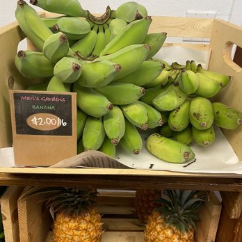 Mari's Gardens - Apple Bananas - Nurseries & Gardening Near Me - Mililani, Hawaii