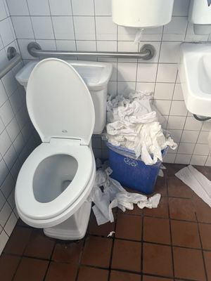 El Carbonero by null