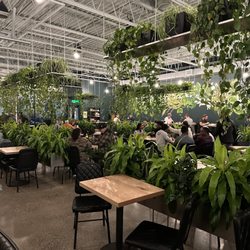 Wandering Leaf Brewing