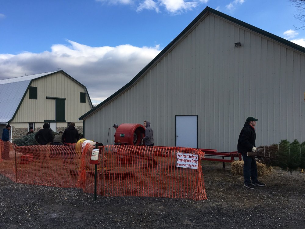 Mayne’s Tree Farm 19 Reviews Farmers Market 3420 Buckeystown Pike