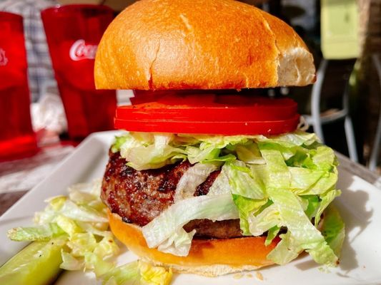 Rehab Burger Therapy by null