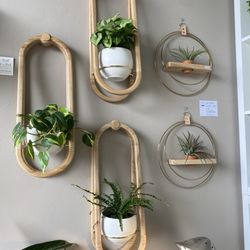 Braid & Wood