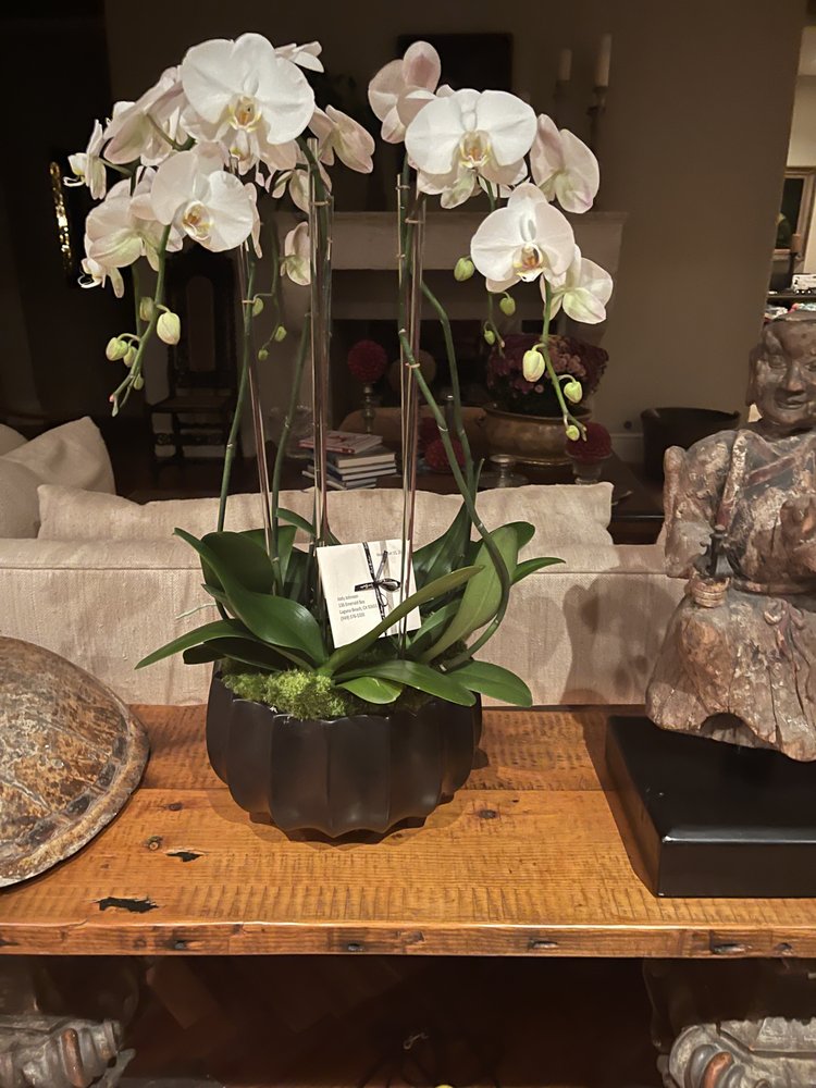 ORCHID REPUBLIC FLORAL BOUTIQUE COSTA MESA Updated September 2024