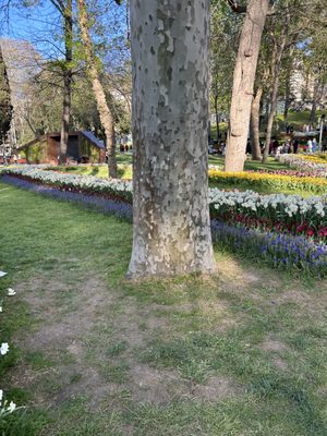 Gülhane Park by null