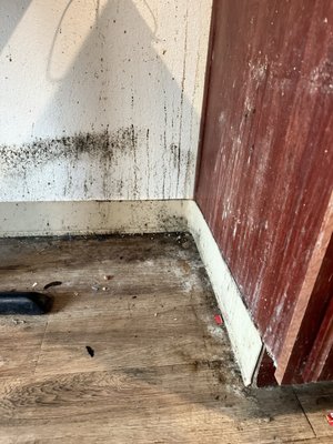 WoodSpring Suites Waco Near University