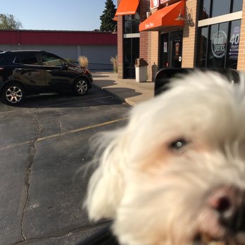 Dunkin' - a dog looking out the window of a car - Donuts Near Me - Waukesha, Wisconsin Dunkin' - a dog looking out the window of a car - Donuts Near Me - Waukesha, Wisconsin