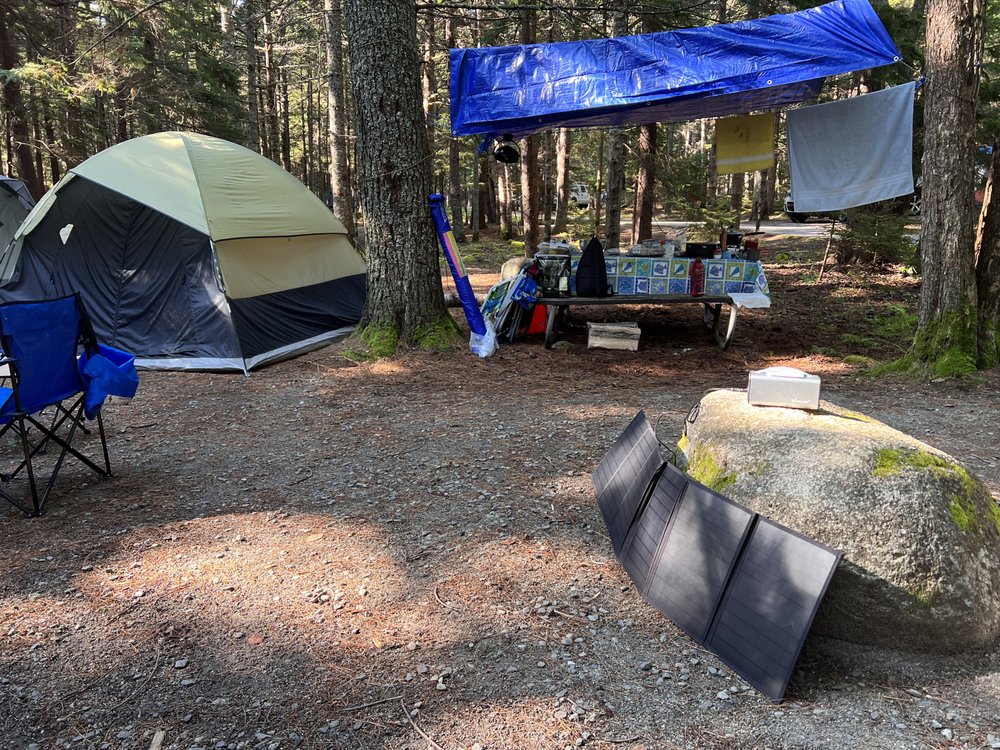 BLACKWOODS CAMPGROUND Updated August 2024 42 Photos & 37 Reviews