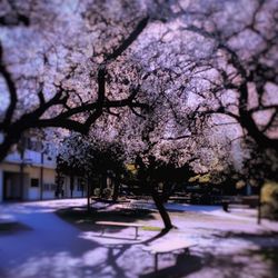 Palos Verdes Peninsula High School