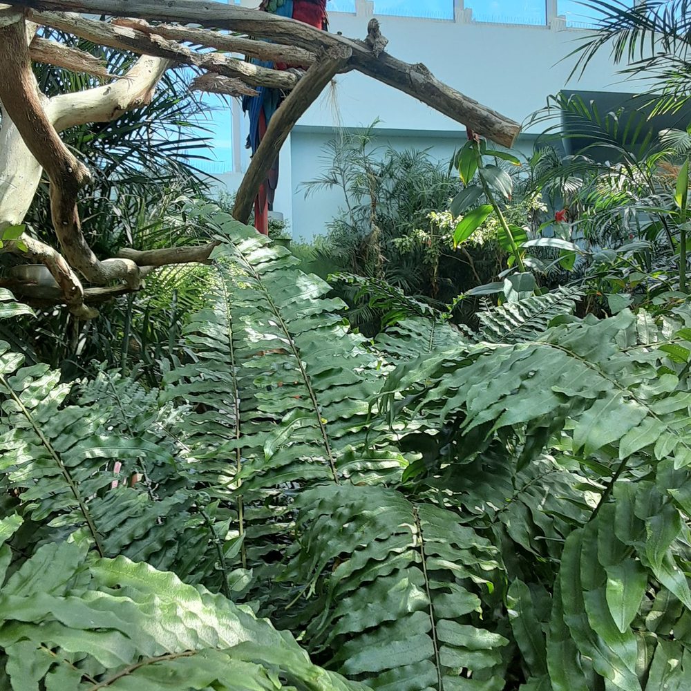 Texas State Aquarium - Green - Aquariums Near Me - Corpus Christi, Texas Texas State Aquarium - Green - Aquariums Near Me - Corpus Christi, Texas