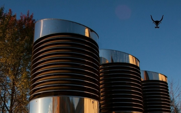 Slide of Texans Force