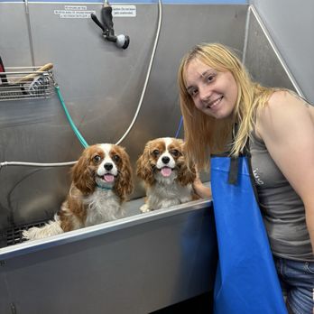 The Paw Spa LB - Pet Groomers Near Me - Long Beach, California The Paw Spa LB - Pet Groomers Near Me - Long Beach, California