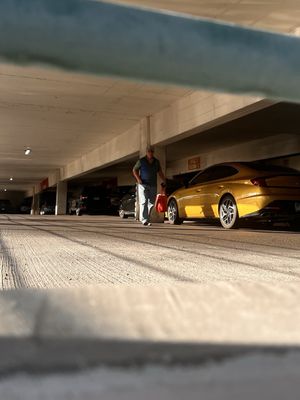 Aquarius Casino Resort by null