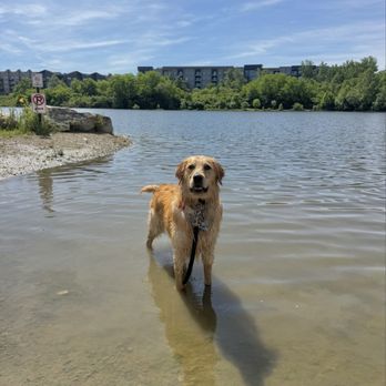 Tranquil Pax Dog Training - Pet Training Near Me Tranquil Pax Dog Training - Pet Training Near Me