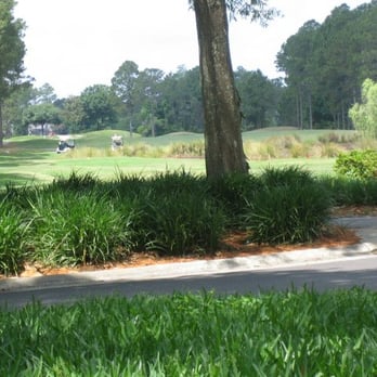 Cimarrone Golf Club - Golf Near Me - Jacksonville, Florida Cimarrone Golf Club - Golf Near Me - Jacksonville, Florida