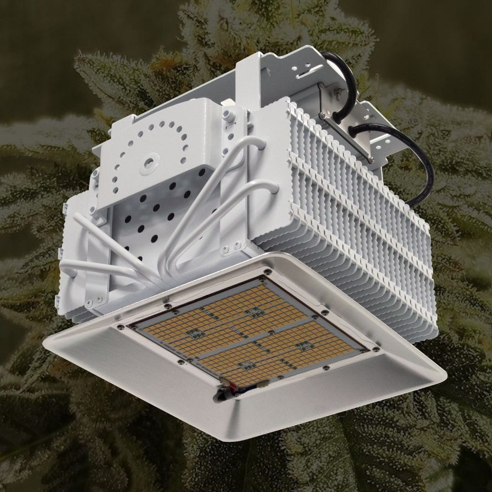 SPECTRUM KING LED Updated May 2024 15 Photos 9722 Topanga Canyon