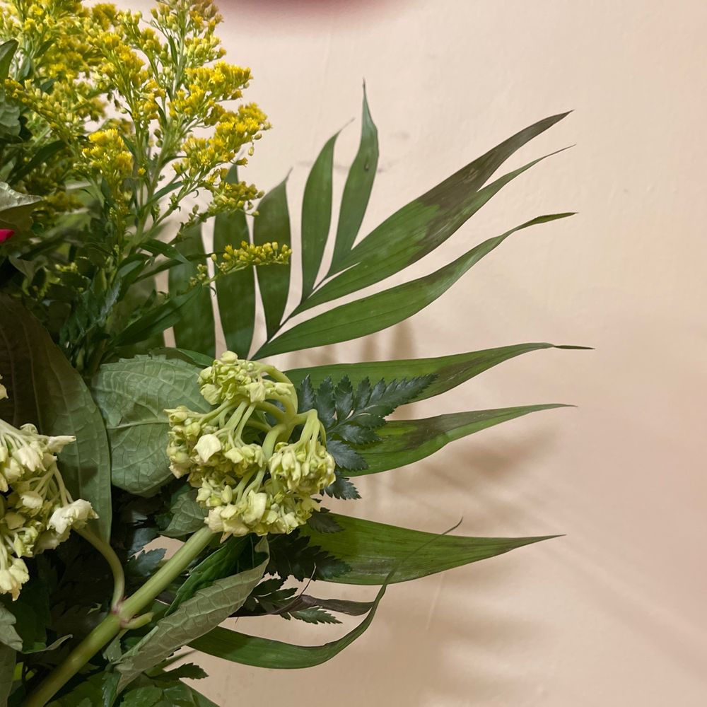 Flowers Near Frederick Md Best Flower Site