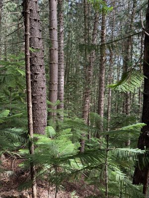 Hauʻula Loop Trail by null