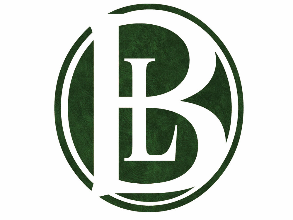 The Bellon Law Group - divorce attorney in Saint Charles, MO