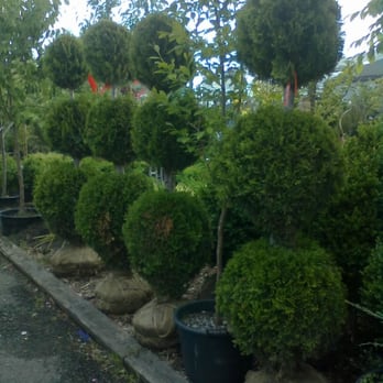 Garden World - Nurseries & Gardening Near Me - Flushing, New York Garden World - Nurseries & Gardening Near Me - Flushing, New York