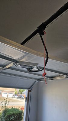 Lion Garage Door on Yelp