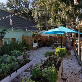 Grill Fresh - Outside seating in the garden w/ night lighting - Acai Bowls Near Me - Palm Harbor, Florida Grill Fresh - Outside seating in the garden w/ night lighting - Acai Bowls Near Me - Palm Harbor, Florida