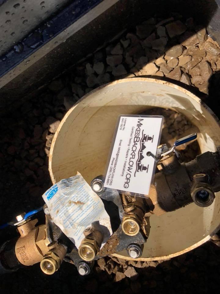 Slide of Mike's Backflow