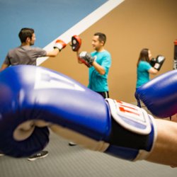 The Physio Shop Flagstaff - Our all-levels Boxing Development classes are the bees knees.