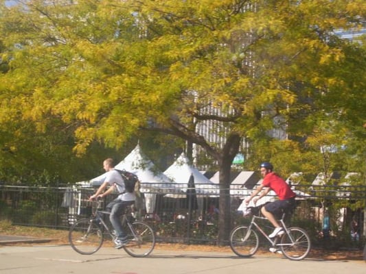 Grant Park by null