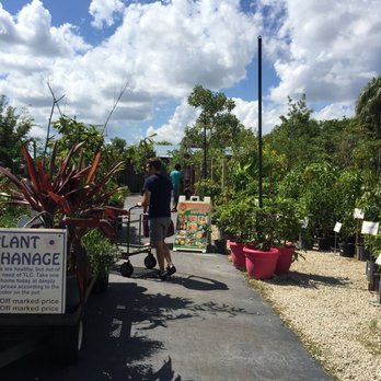 Flamingo Road Nursery - Nurseries & Gardening Near Me - Davie, Florida