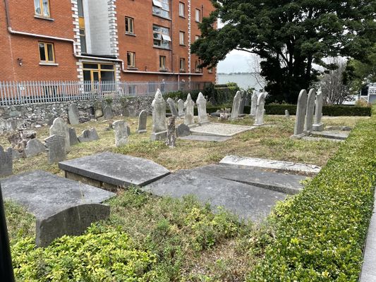 Pearse Lyons Whiskey Distillery by null