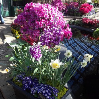 Lincoln Park Conservatory - Parks Near Me - Chicago, Illinois