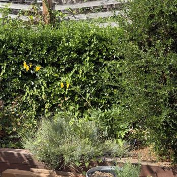 Tru Terras Landscaping - Fences & Gates Near Me - Snohomish, Washington Tru Terras Landscaping - Fences & Gates Near Me - Snohomish, Washington