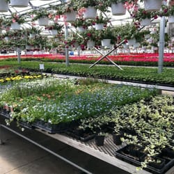 Ray's Greenhouse