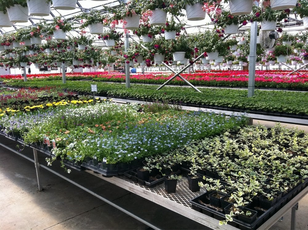 RAY’S GREENHOUSE Updated August 2024 458 Morwood Rd, Telford