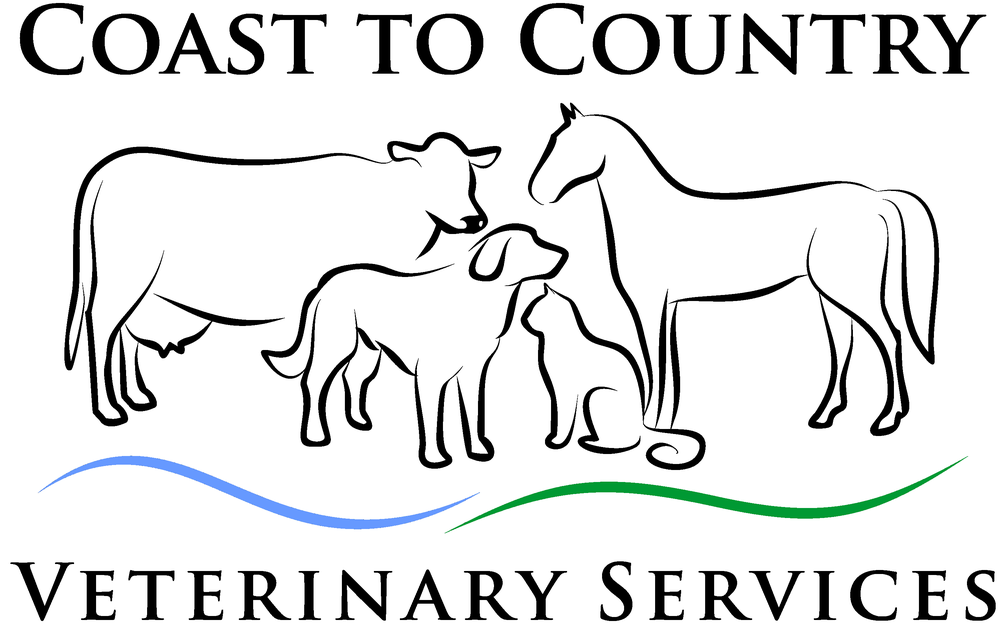 COAST TO COUNTRY VETERINARY SERVICES POB 6129, Port Macquarie New