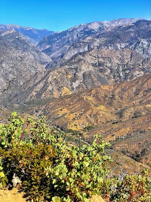 Kings Canyon National Park by null