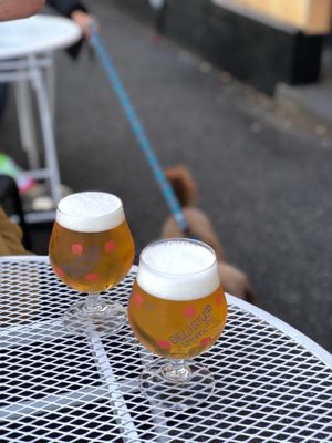 The Fox Hotel | Pub Collingwood by null